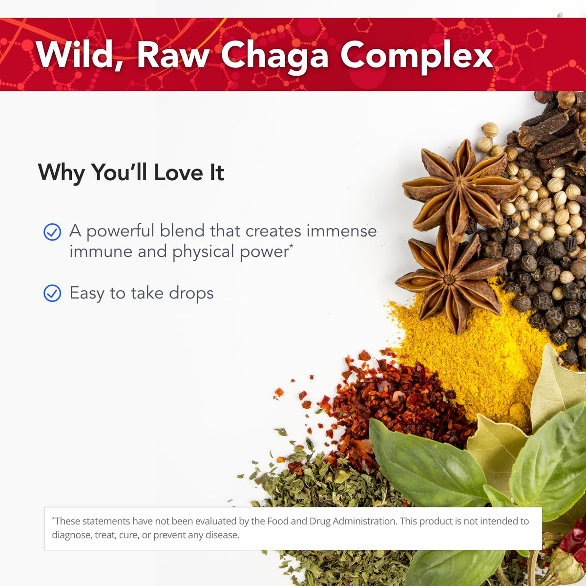 Physician's Strength Chag-Immune Wild Chaga Mushroom Emulsion - 2 fl oz - image 3
