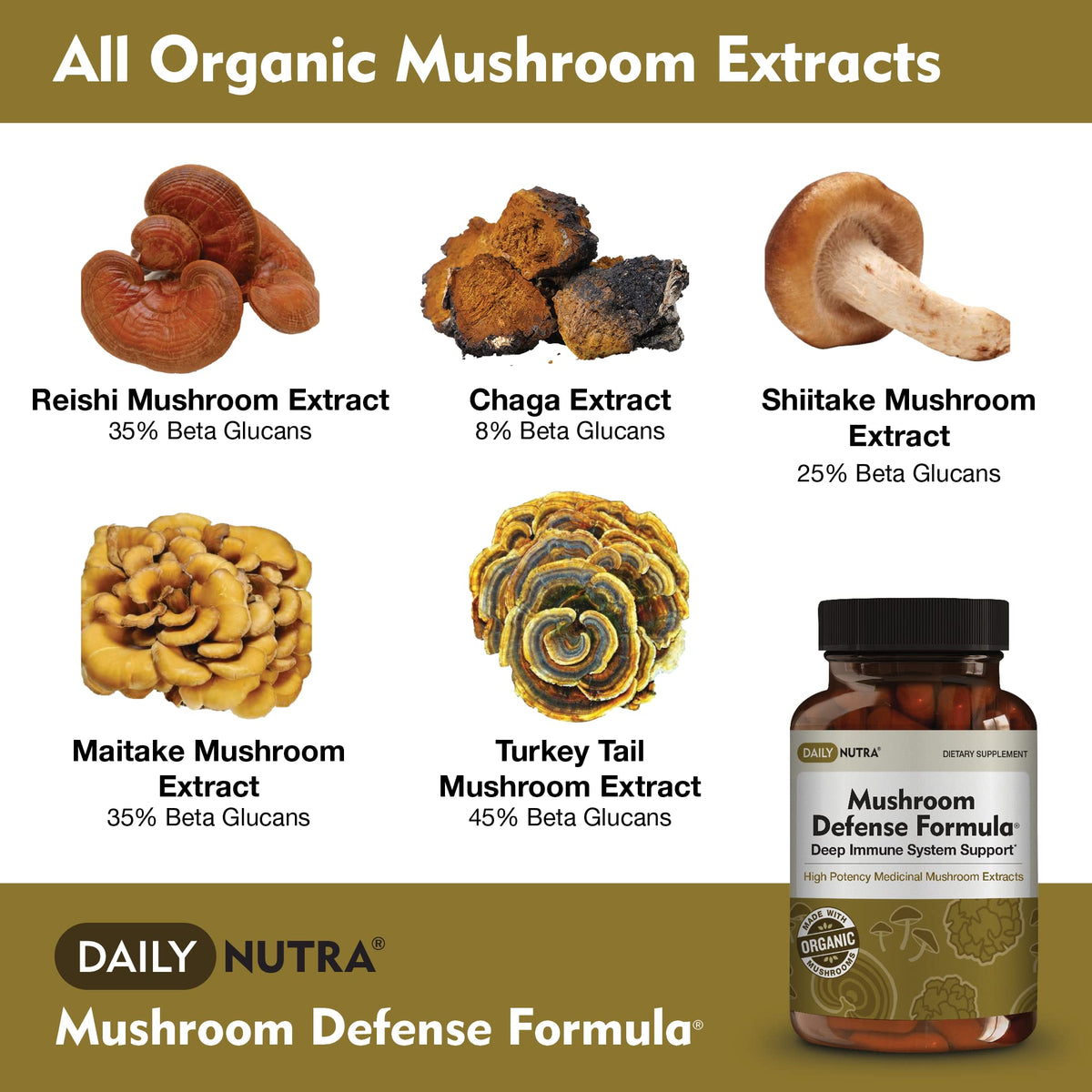 DailyNutra Mushroom Defense Formula 1200mg Immune Support - 90 Capsules - image 3