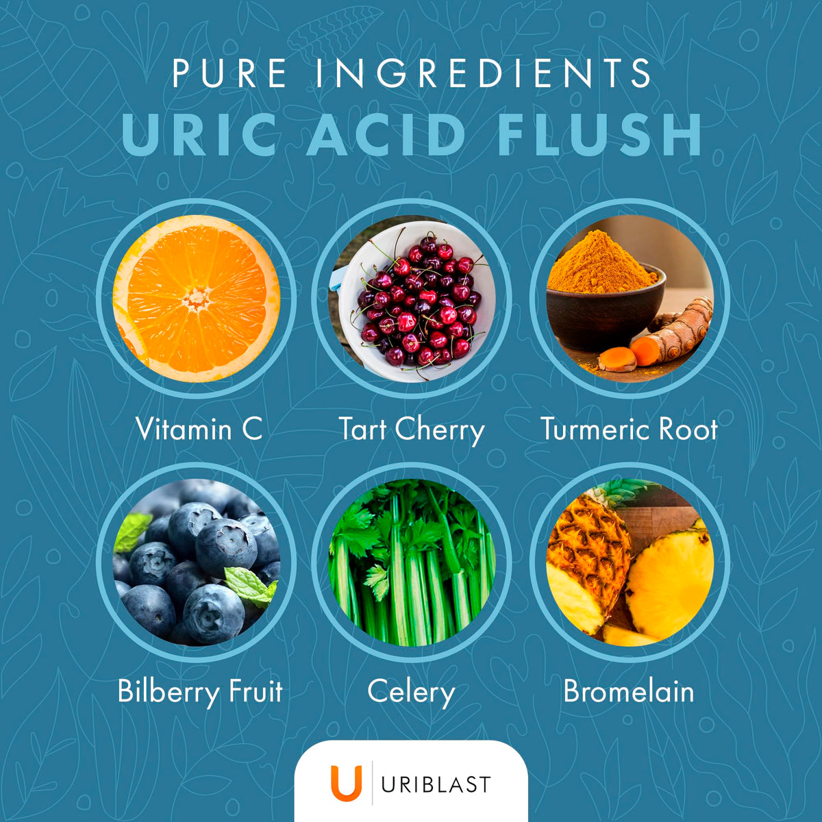 Uriblast Natural Uric Acid Support Supplement Capsules