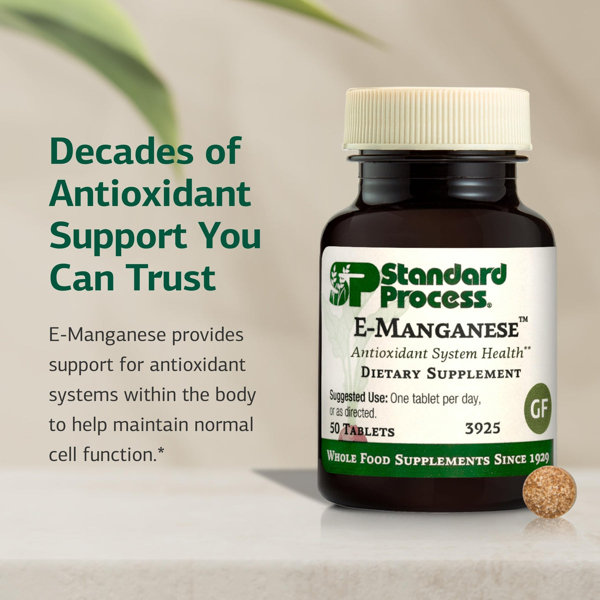 Standard Process E-Manganese Antioxidant & Cellular Health - 50 Tablets - image 3