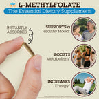 Teraputics L-Methylfolate 15mg Brain Support - 120 Vegan Capsules - image 4