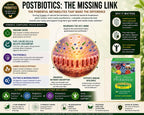 Dr. Ohhira's Probiotics Original Formula - 110 Vegetarian Capsules - image 6