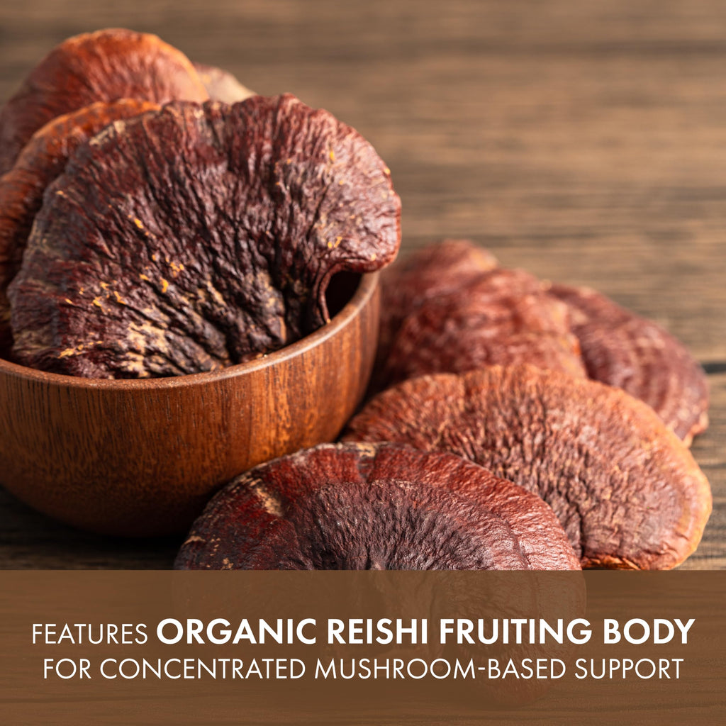 PURE ESSENCE LABS MyPure Reishi 4X Organic Mushrooms Supplement
