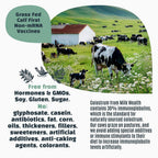 Milk Wealth Pure Camel Colostrum