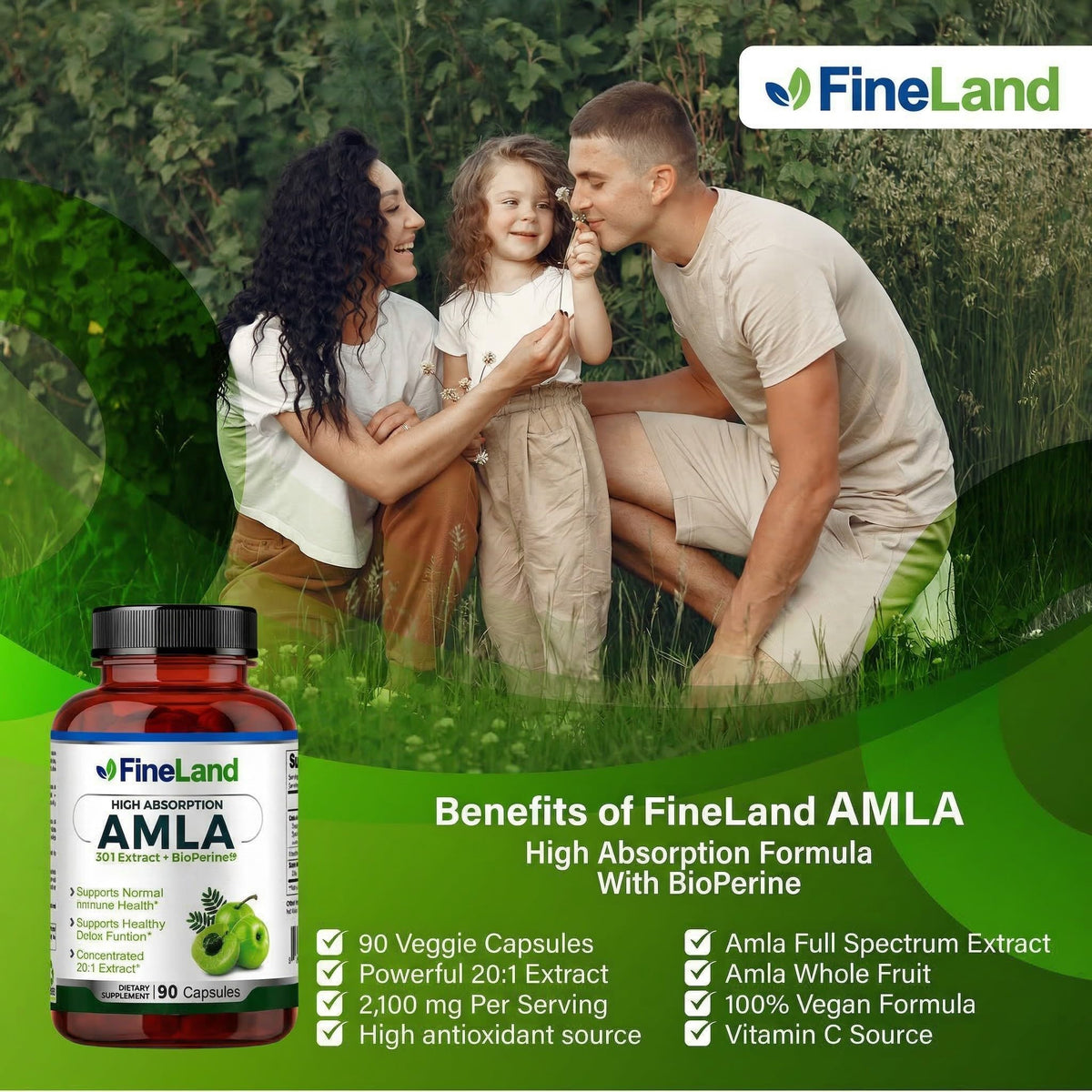 FineLand Amla Full Spectrum Extract with BioPerine - 90 Vegan Capsules - image 5