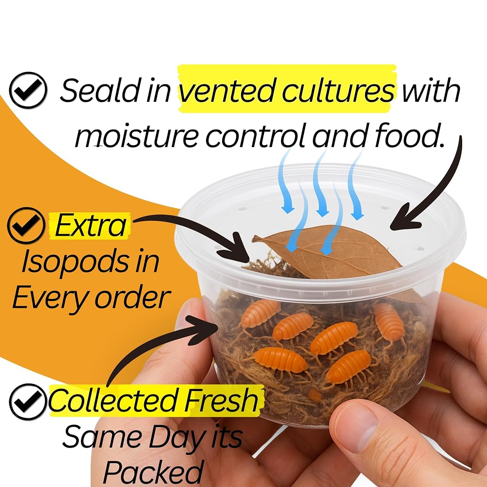 TC INSECTS Bioactive Combo Isopods & Springtails - 25 Count - image 3