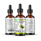 Heavenly Herbals Sabal Serrulata Q Mother Tincture - 2 fl. Oz - image 2
