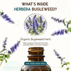 HerbEra Bugleweed Alcohol-Free Herbal Extract Tincture