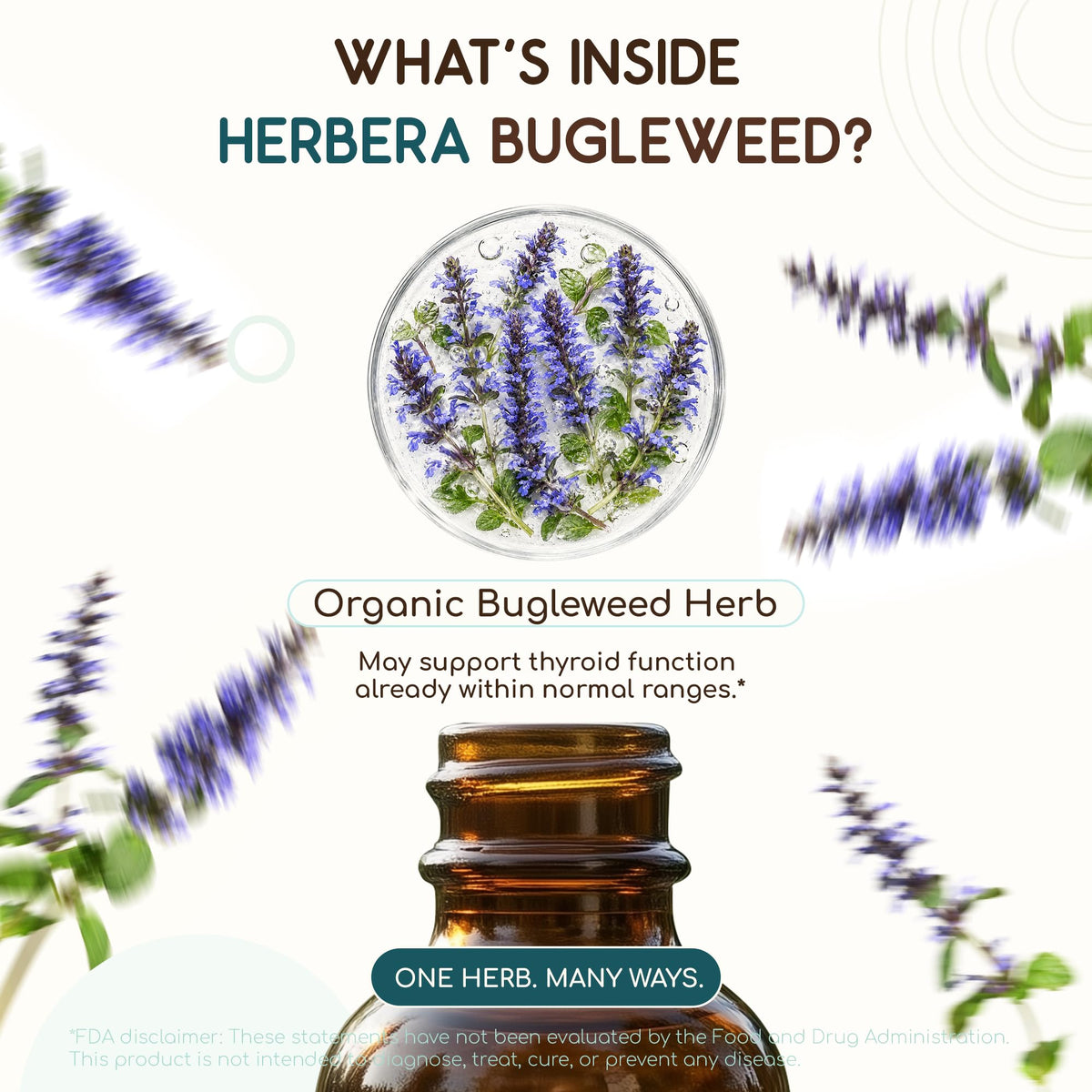 HerbEra Bugleweed Alcohol-Free Herbal Extract Tincture