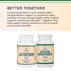 Double Wood Supplements Lactoferrin 250mg Bioferrin Iron Support - 60 Capsules - image 5