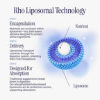 Rho Nutrition Liposomal CoQ10 Liquid Supplement - 6 Fl Oz - image 7