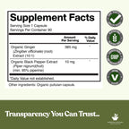 American Standard Supplements Organic Ginger Extract - 90 Capsules - image 2