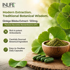 INLIFE Ginkgo Biloba Extract 120mg - 60 Vegetarian Capsules - image 4
