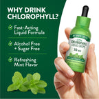 Nature's Truth Liquid Chlorophyll Drops 50 mg - 2 fl oz - image 3