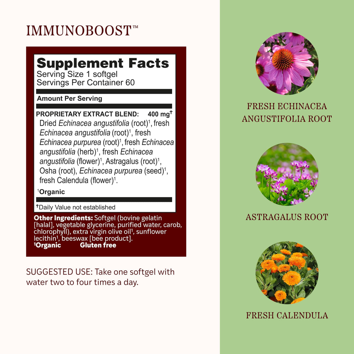 Herbs Etc. ImmunoBoost Softgels Immune Support - 60 Softgels - image 4