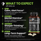 Off Meta Nootropics GigaChad Stack Brain Supplement - 120 Capsules - image 5