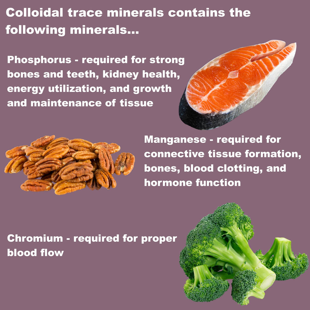 LifeLink Colloidal Trace Minerals - 100 Capsules - image 4