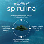 ENERGYBITS VITALITYbits Organic Blended Spirulina & Chlorella Algae