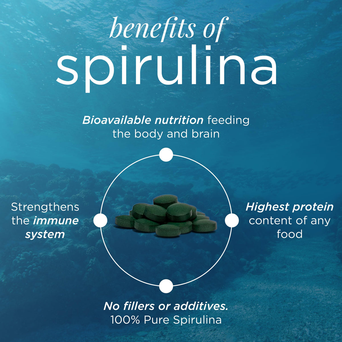 ENERGYBITS VITALITYbits Organic Blended Spirulina & Chlorella Algae