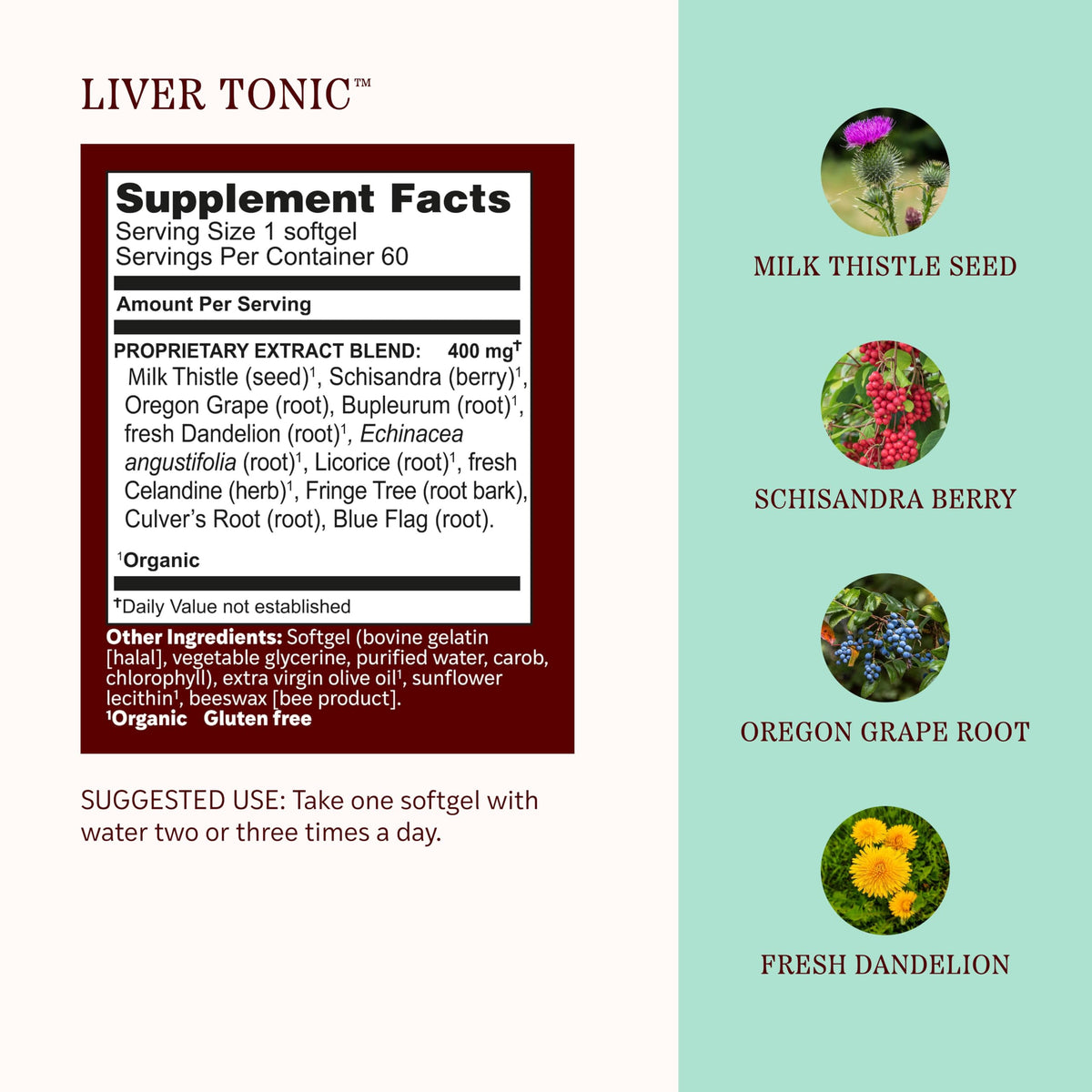 Herbs Etc. Liver Tonic Softgels, Organic - 60 Softgels - image 4