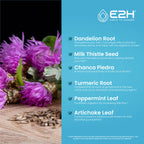 E2H EARTH TO HUMANS - Liver Support Supplement