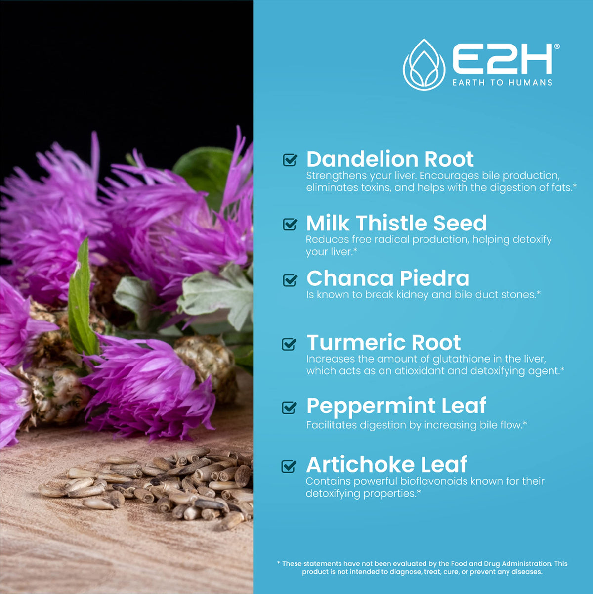 E2H EARTH TO HUMANS - Liver Support Supplement