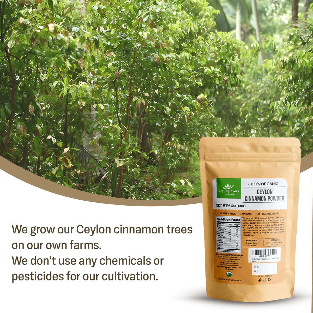 Ceylon Flavors Organic Ceylon Cinnamon Powder - 3.5 oz - image 5