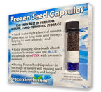 Frozen Seed Capsules Anthos Valerian Seeds - 100 Seeds - image 2
