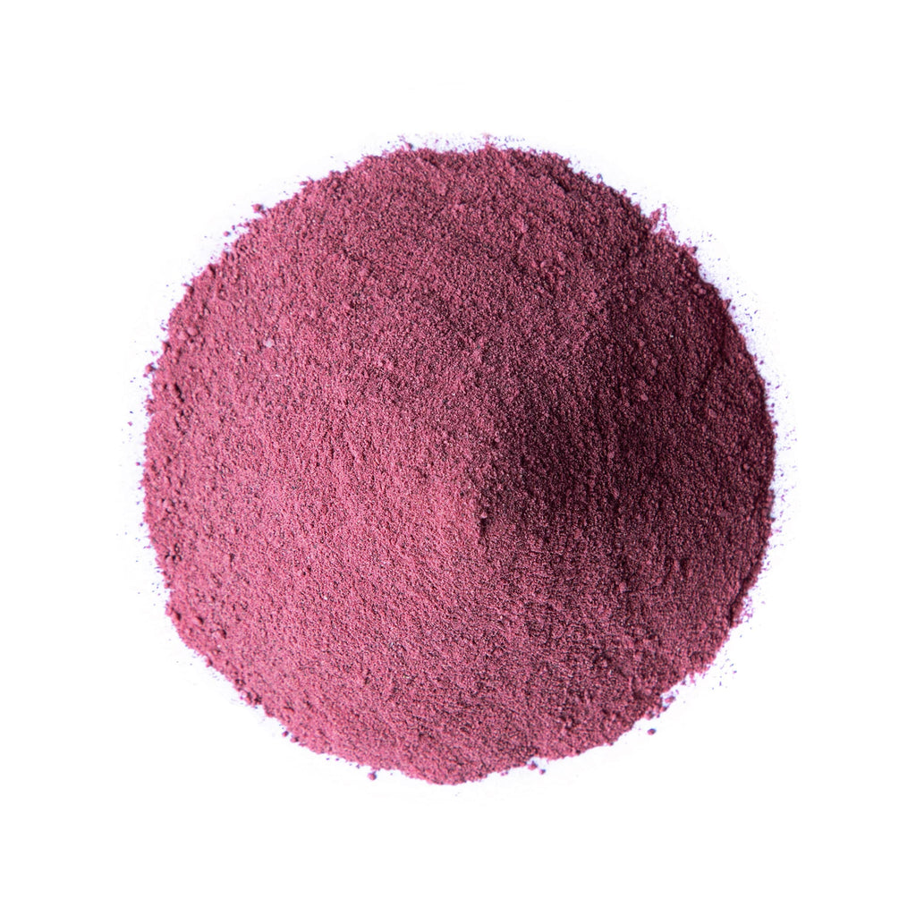 Food to Live Organic Black Elderberry Juice Powder