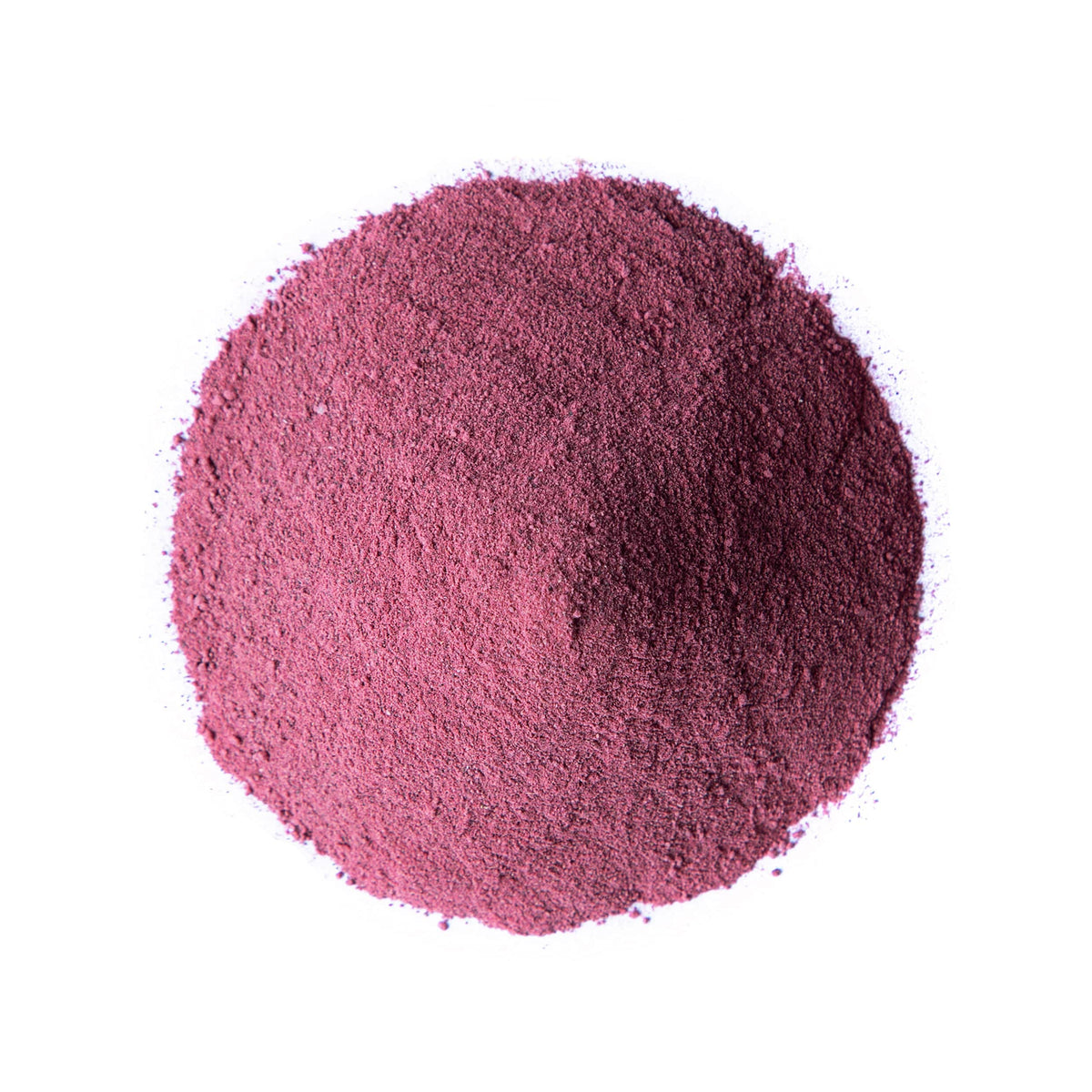 Food to Live Organic Black Elderberry Juice Powder