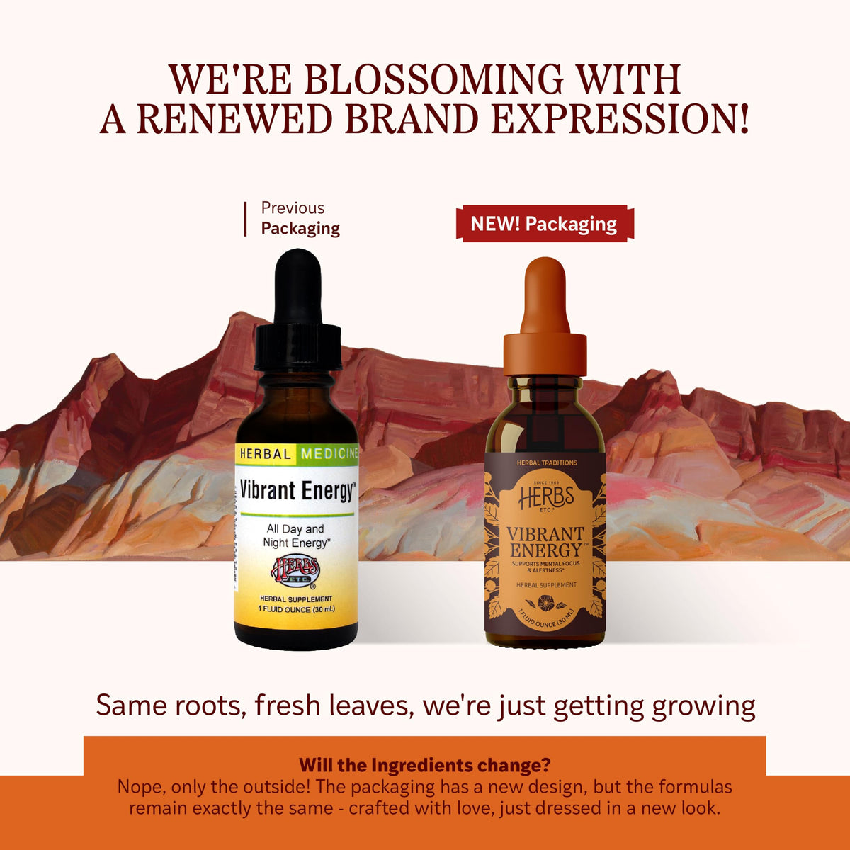 Herbs Etc. Vibrant Energy Liquid Extract - 1 fl oz - image 2