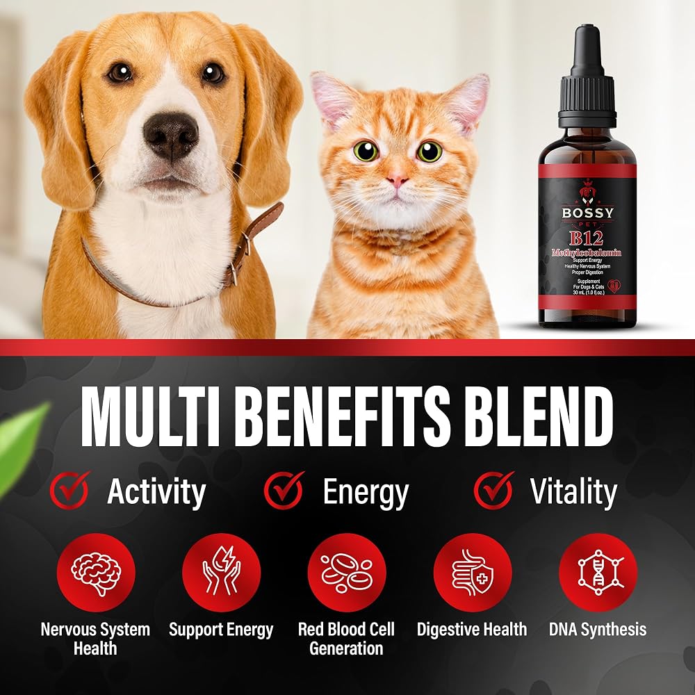 Bossy Pet Vitamin B12 Liquid Supplement for Dogs & Cats - 1 Fl Oz - image 3