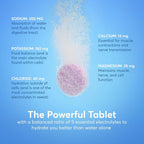 Nuun Sport + Caffeine Electrolyte Tablets Variety Pack - 60 Tablets - image 3