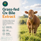 Eleva Nutrition Grass-Fed Ox Bile 1000mg - 180 Capsules - image 2