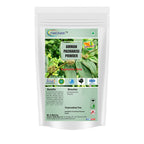 neotea Organic Euphorbia Hirta Powder for Immunity - 300 GM