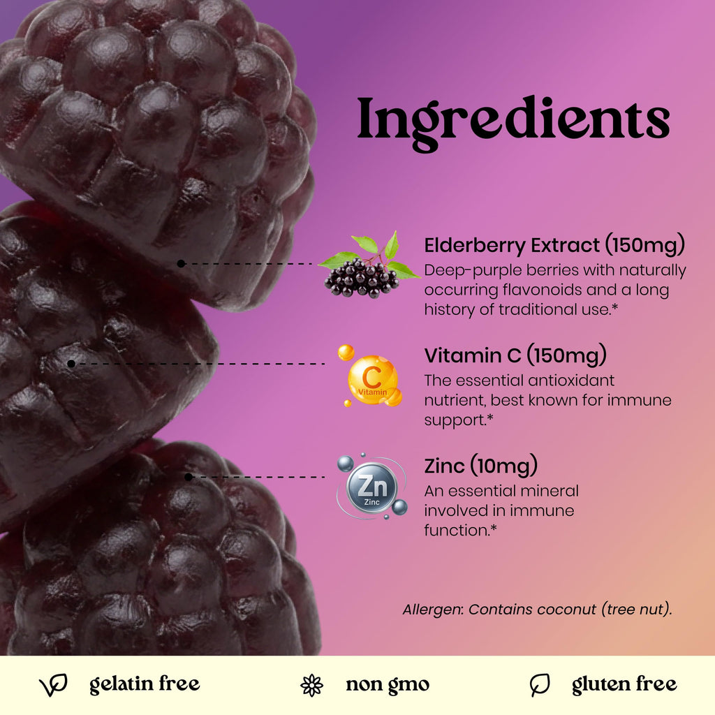 VITA GLOBE Elderberry Gummies with Vitamin C & Zinc - 60 Gummies - image 3