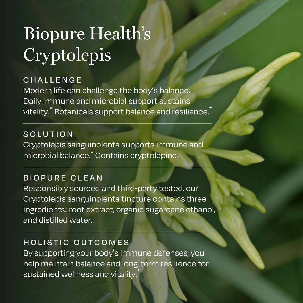 BioPure Cryptolepis Immune Support Liquid Extract - 120 Servings - image 4