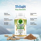 LEAFSOURCE Shilajit with Humic & Fulvic Acid - 120 Capsules - image 5