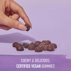 Garden of Life Organics Elderberry Immune Gummies - 120 Gummies - image 4
