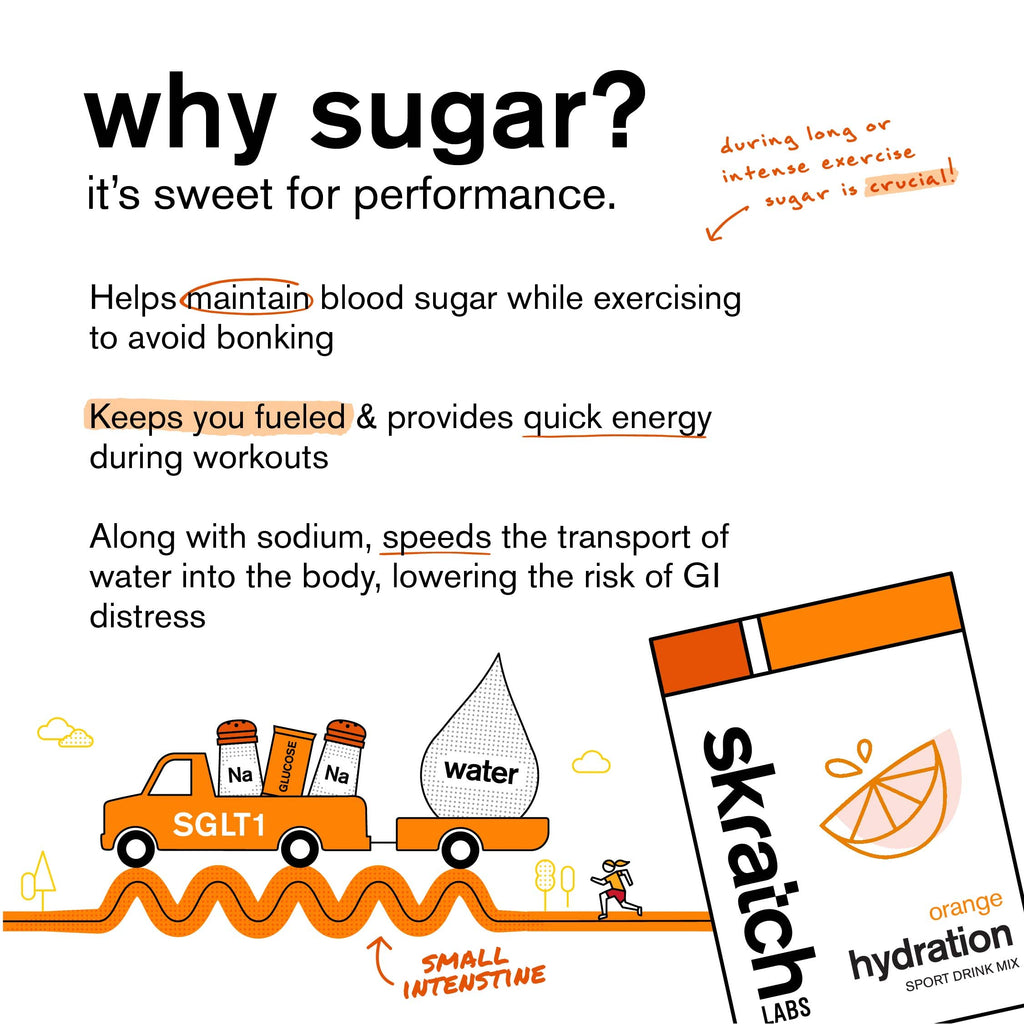 Skratch Labs Hydration Sports Drink Mix