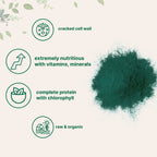 Micro Ingredients Organic Chlorella Powder - 10 Ounce - image 3