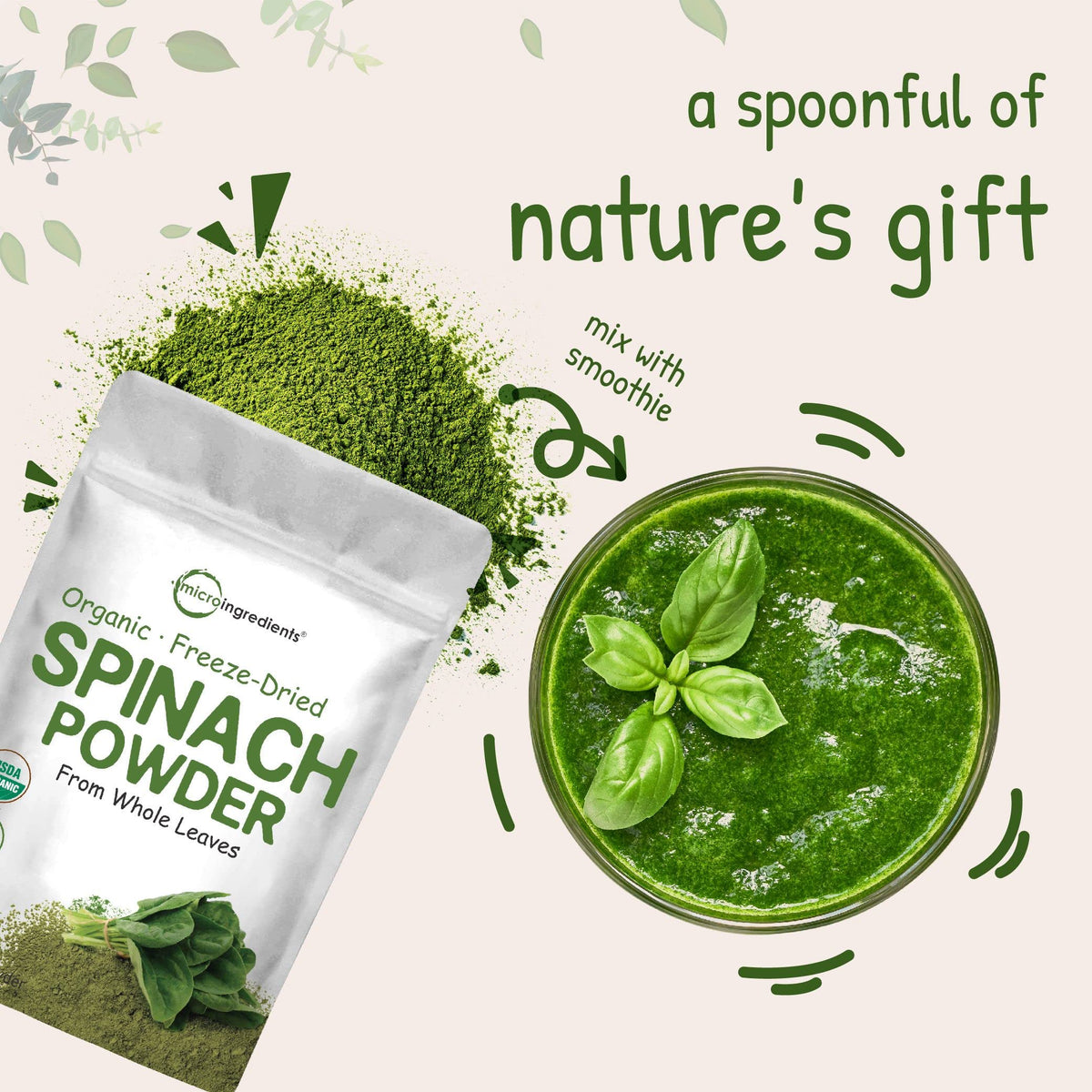Micro Ingredients Organic Spinach Powder - 1 Pound - image 5