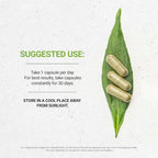 Secrets of the Tribe Lemongrass 60/120 Capsules - image 3