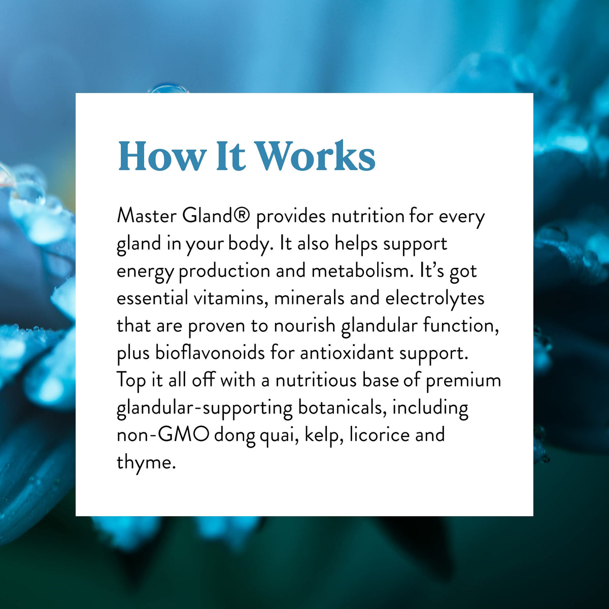 Nature's Sunshine Master Gland Energy Support - 120 Capsules - image 6
