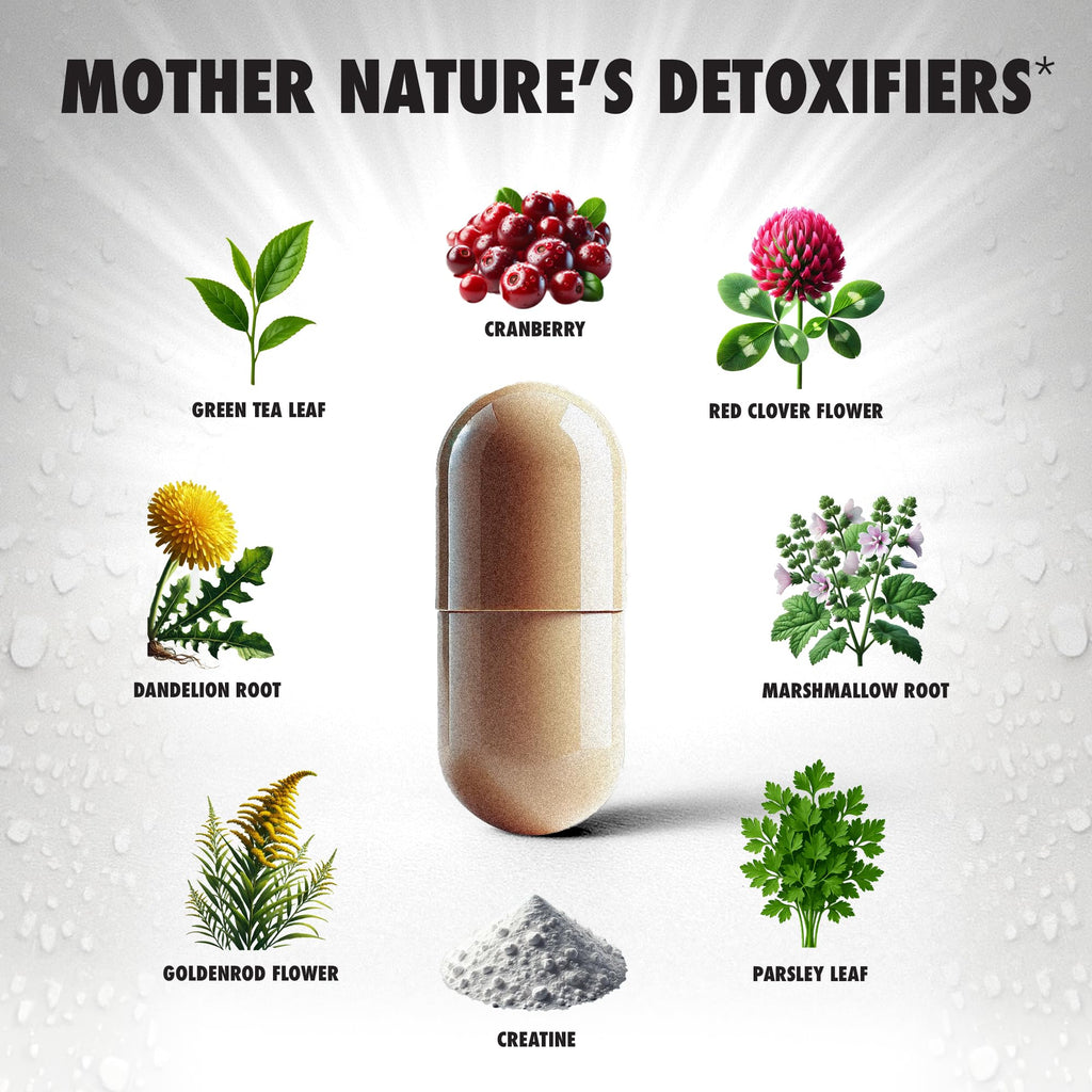 Rescue Detox ICE CAPS Concentrated Cleansing Capsules - 12 Count - image 5