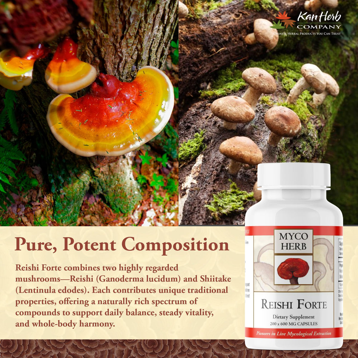 Kan Herbs Reishi Forte Mushroom Blend for Vitality - 120 Tablets - image 5