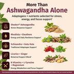 1 Body Adaptogen Complex Supplement with Ashwagandha - Mood
