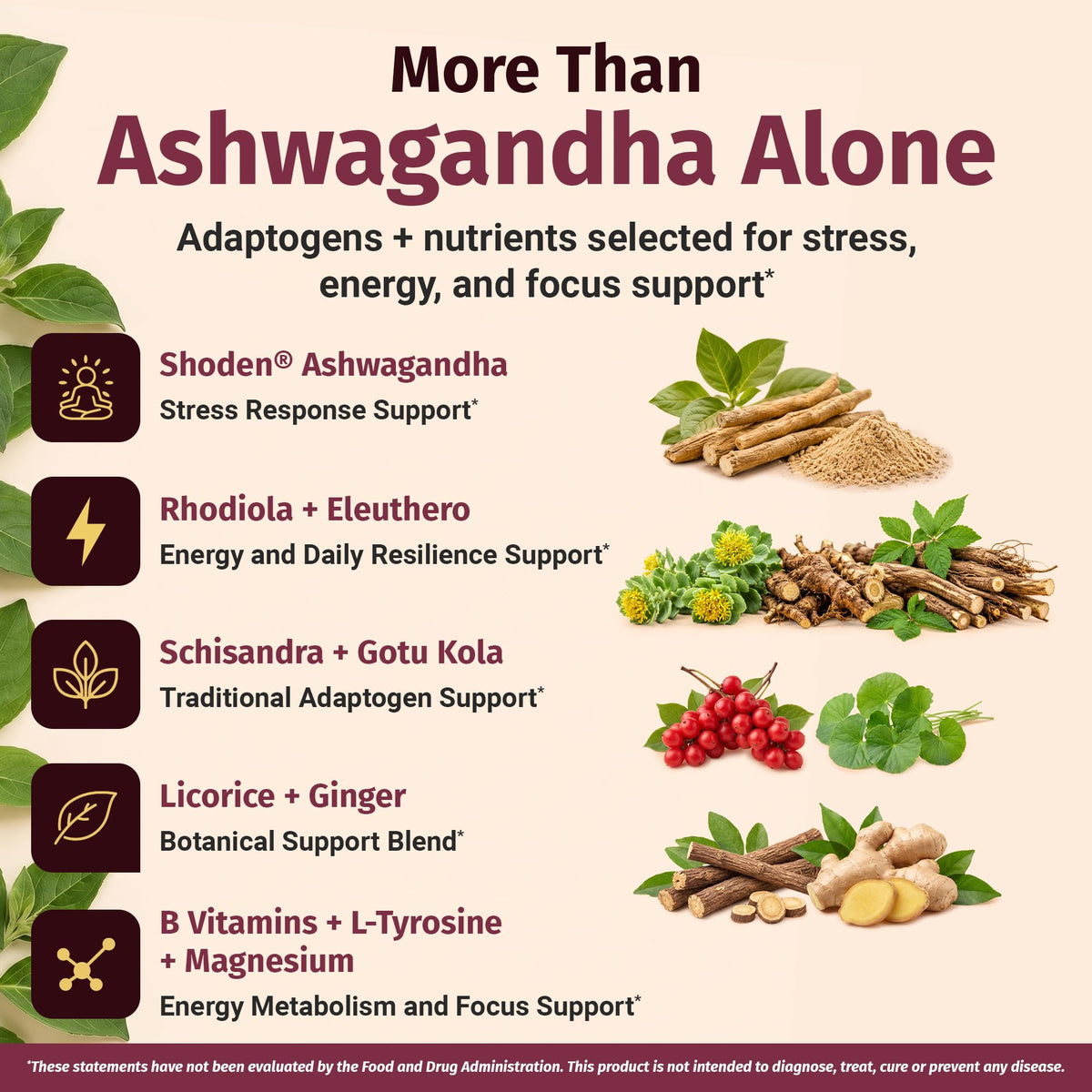 1 Body Adrenal Support Supplement with Ashwagandha - 60 Capsules - image 4