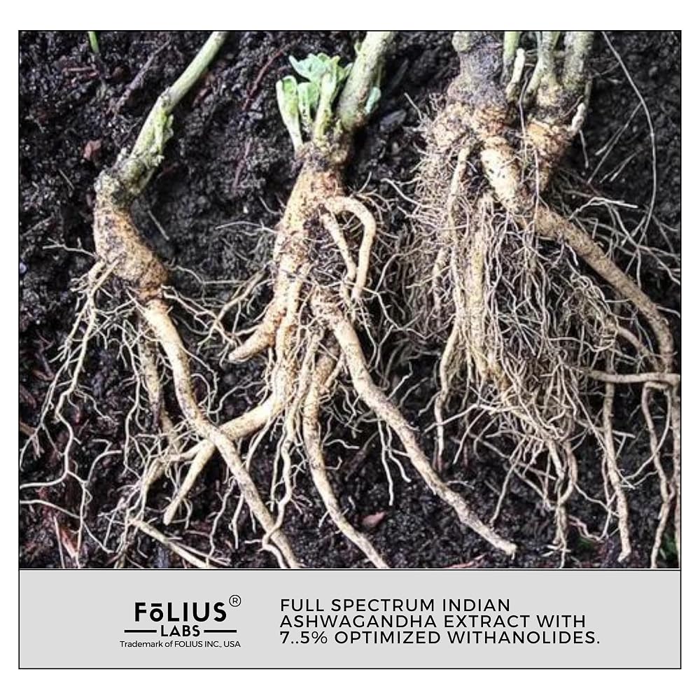 FOLIUS LABS Ashwagandha 500mg Herbal Energy Support - 120 Capsules - image 9