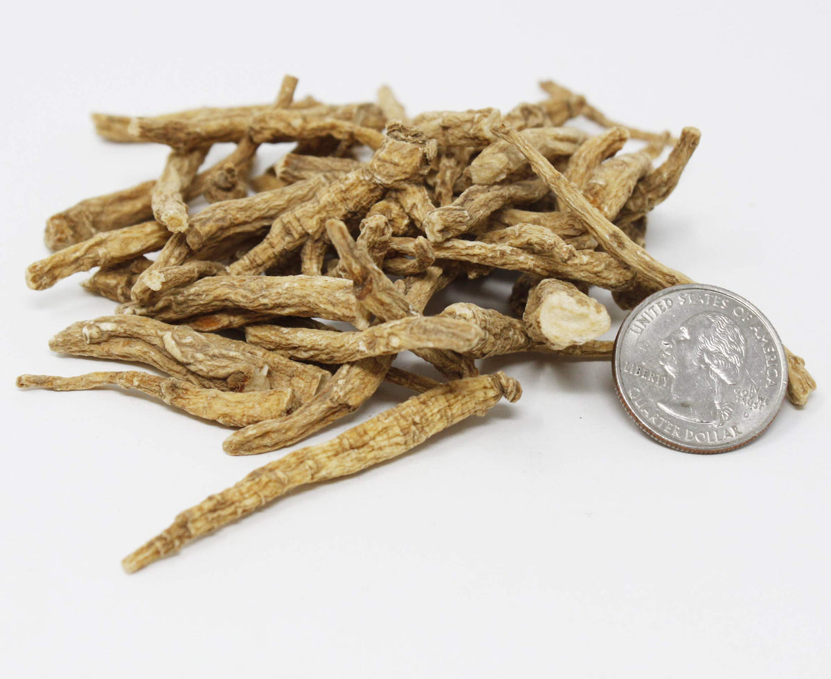 DABC OAK LAND American Ginseng from Wisconsin